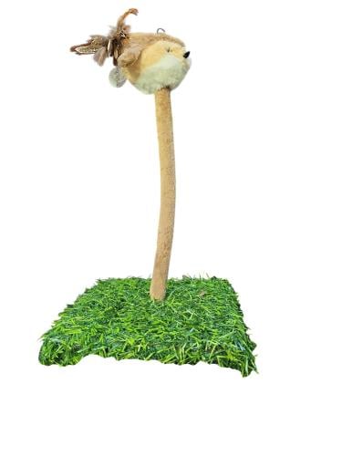 لعبه قطط عصفور