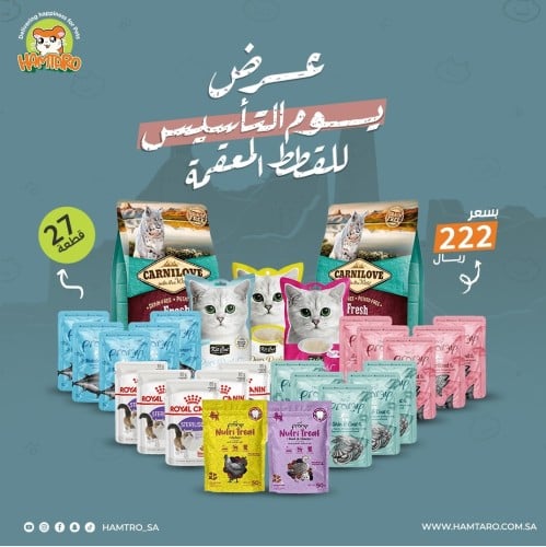بوكس يوم التاسيس للقطط المعقمه