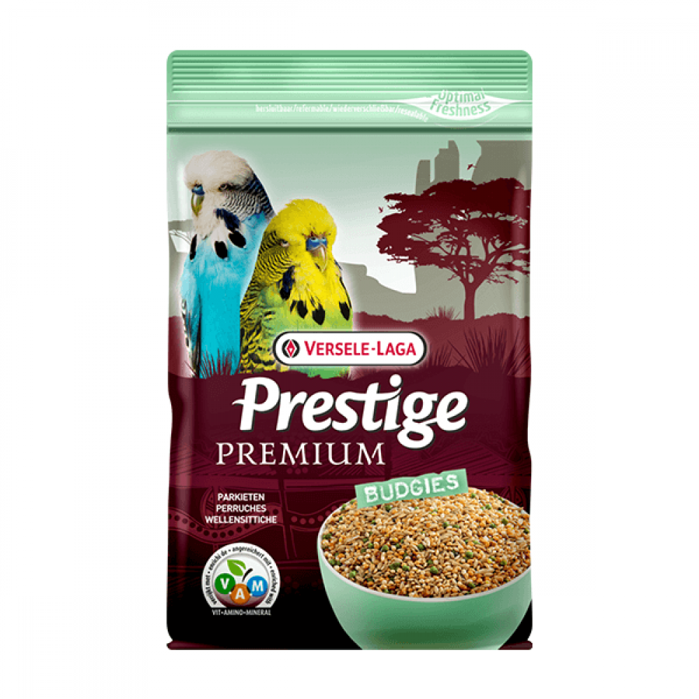 Versail Laga Prestige eating lovebirds