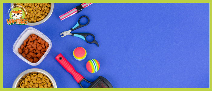 ادوات القطط للتسلية والترفيه وأهم فوائدها الصحية والنفسية