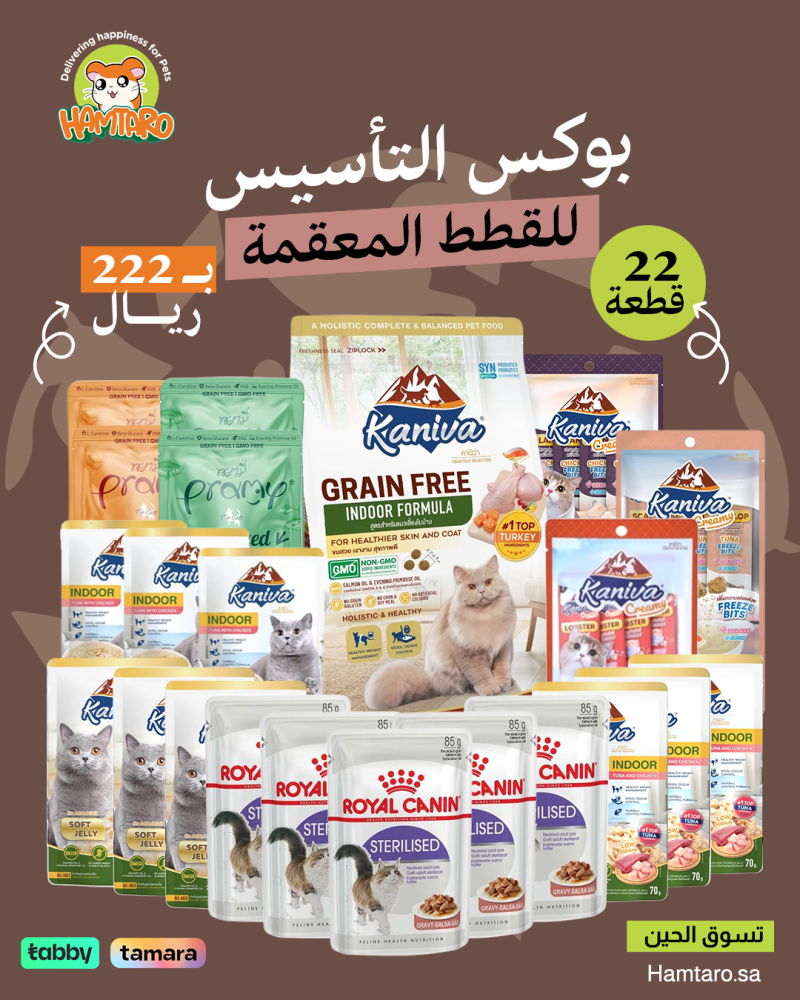 بوكس تأسيس للقطط المعقمة