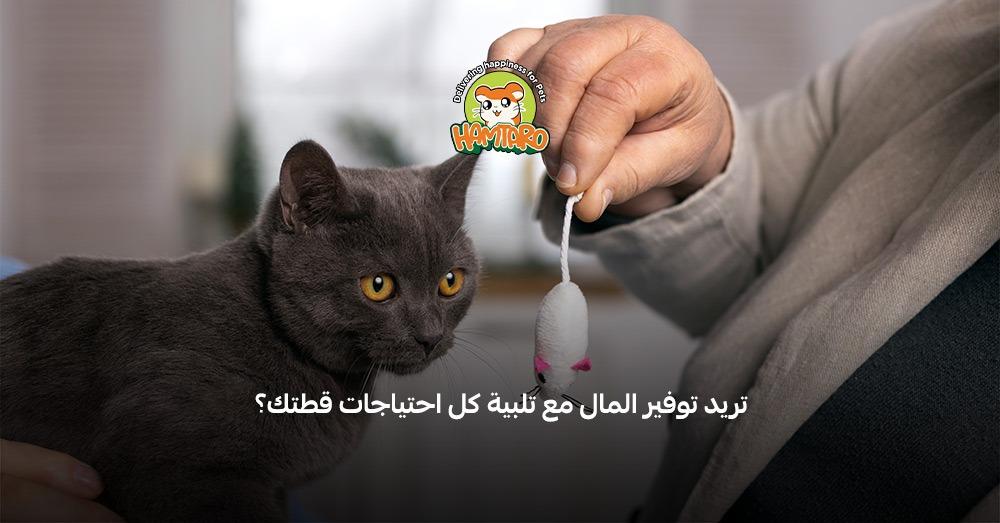 كيف تختار بكج التوفير المثالي لقطتك — وفر لميزانيتك ورافق رعايتها