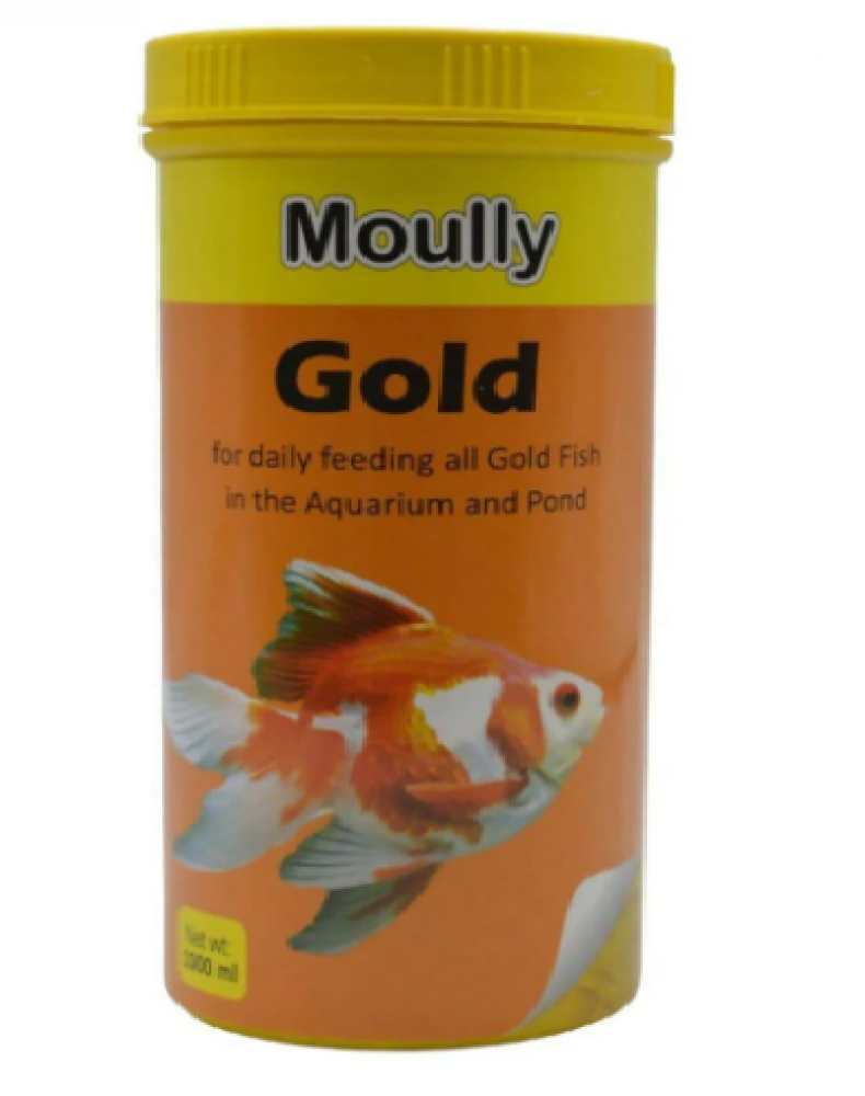 Molly goldfish hot sale