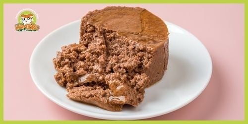 دليلك لاختيار وتقديم أفضل طعام رطب للقطط بطريقة صحيحة