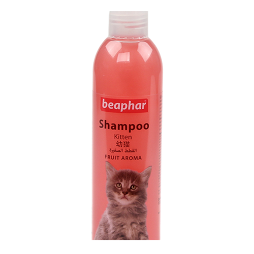 Beaphar shampoo with fruit and orange scent for cats متجر همتارو