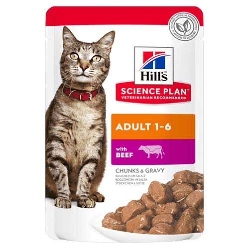 Hills Beef Wet Food for Large Cats