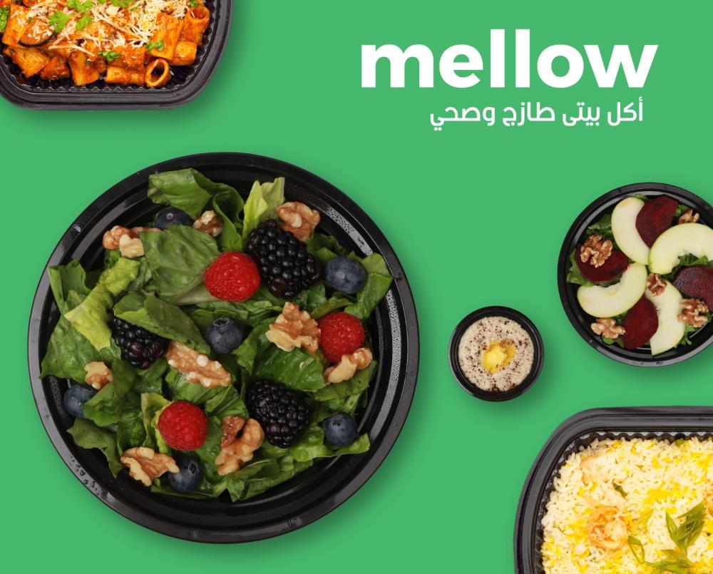 اشتراك شهري وجبات الرياض