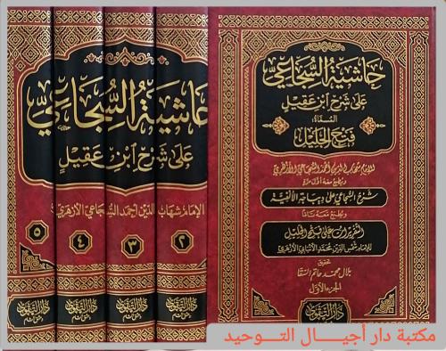كتاب حاشية السجاعي على شرح ابن عقيل المسماة : فتح...