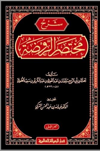شرح مختصر الروضة 3/1
