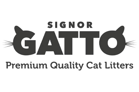 سينيور غاتو