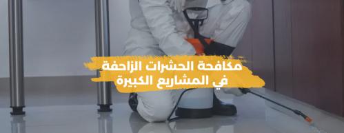 مكافحة الحشرات الزاحفة في المشاريع الكبيرة