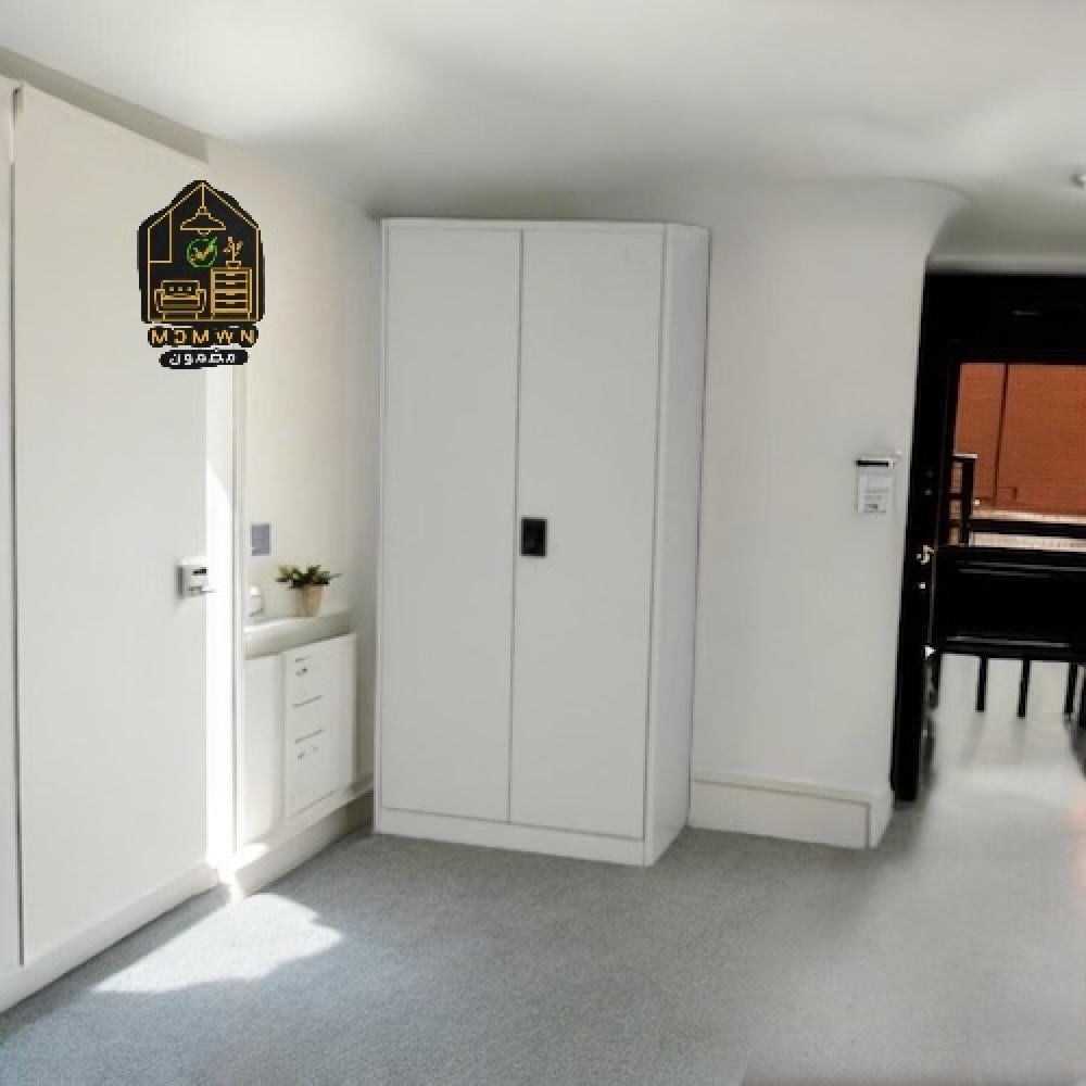 Iron file cabinet with internal shelves and security lock
