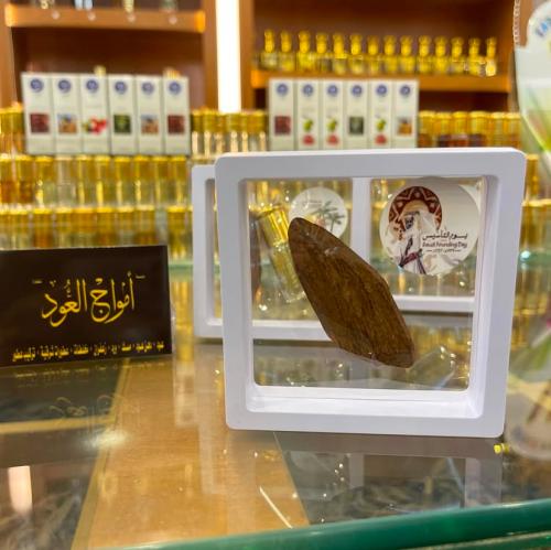 عود يوم التأسيس