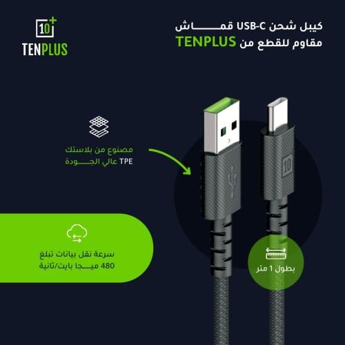 كيبل تايب سي قماش TEN PLUS T3108
