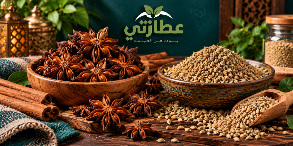 اليانسون النجمي: الفرق عن اليانسون العادي وطريقة استخدامه