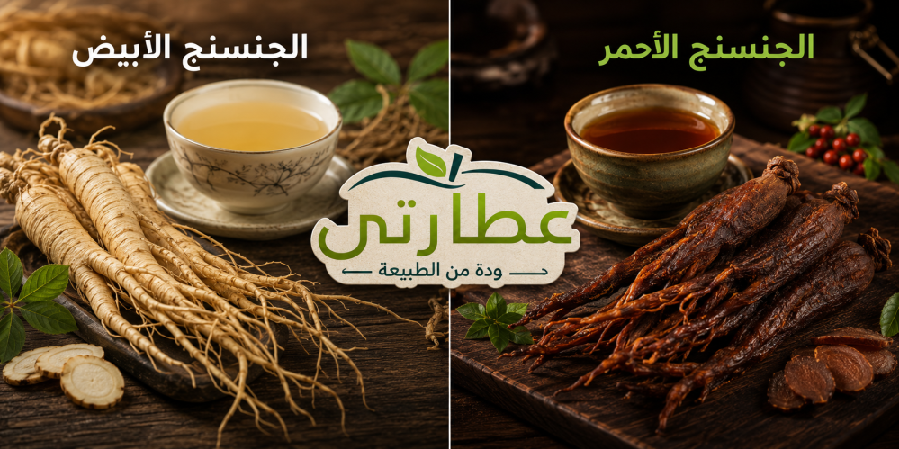 الفرق بين الجنسنج الأبيض والجنسنج الأحمر