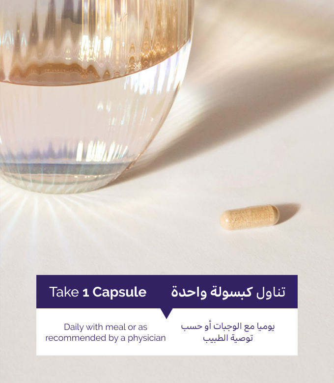 أشواقاندا