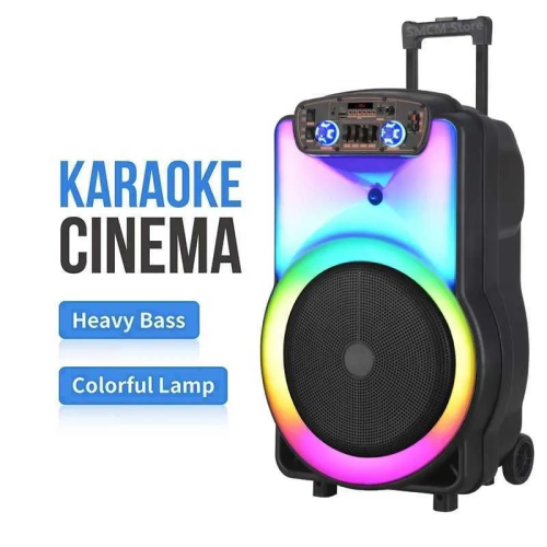 Wireless Karaoke Machine with Microphones NDR Y12