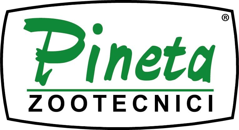 Pineta بنيتا