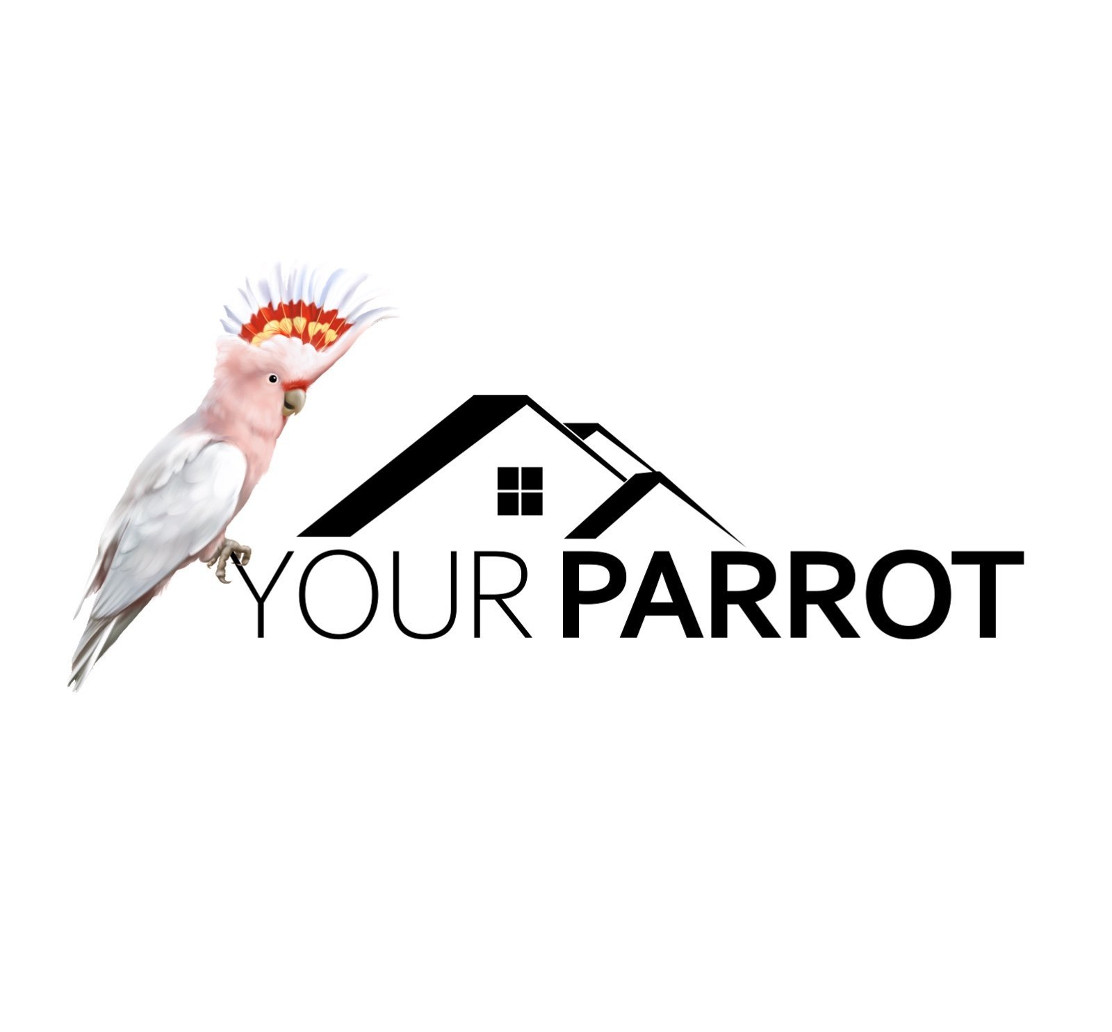 يور باروت YOUR PARROT