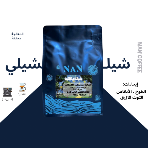 شيلشيلي