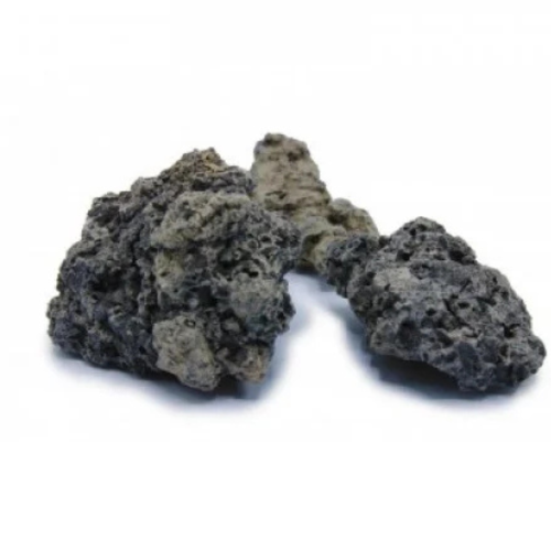 شبة سوداء