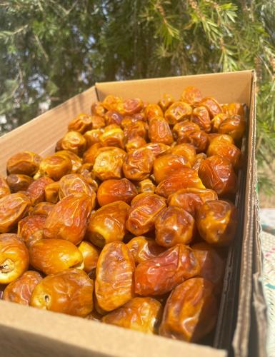 تمر جالكسي 5 كيلو ( خراف هالسنة )