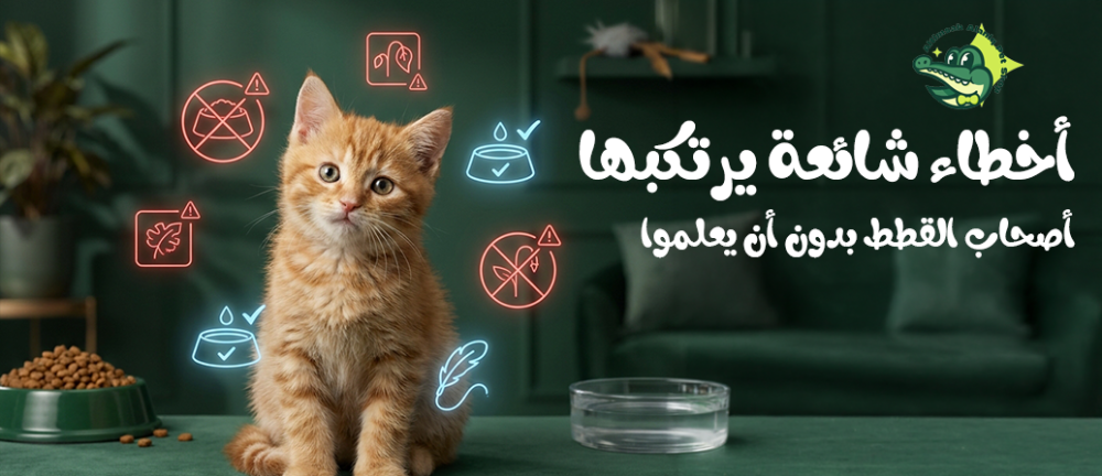 أخطاء شائعة يرتكبها أصحاب القطط بدون أن يعلموا