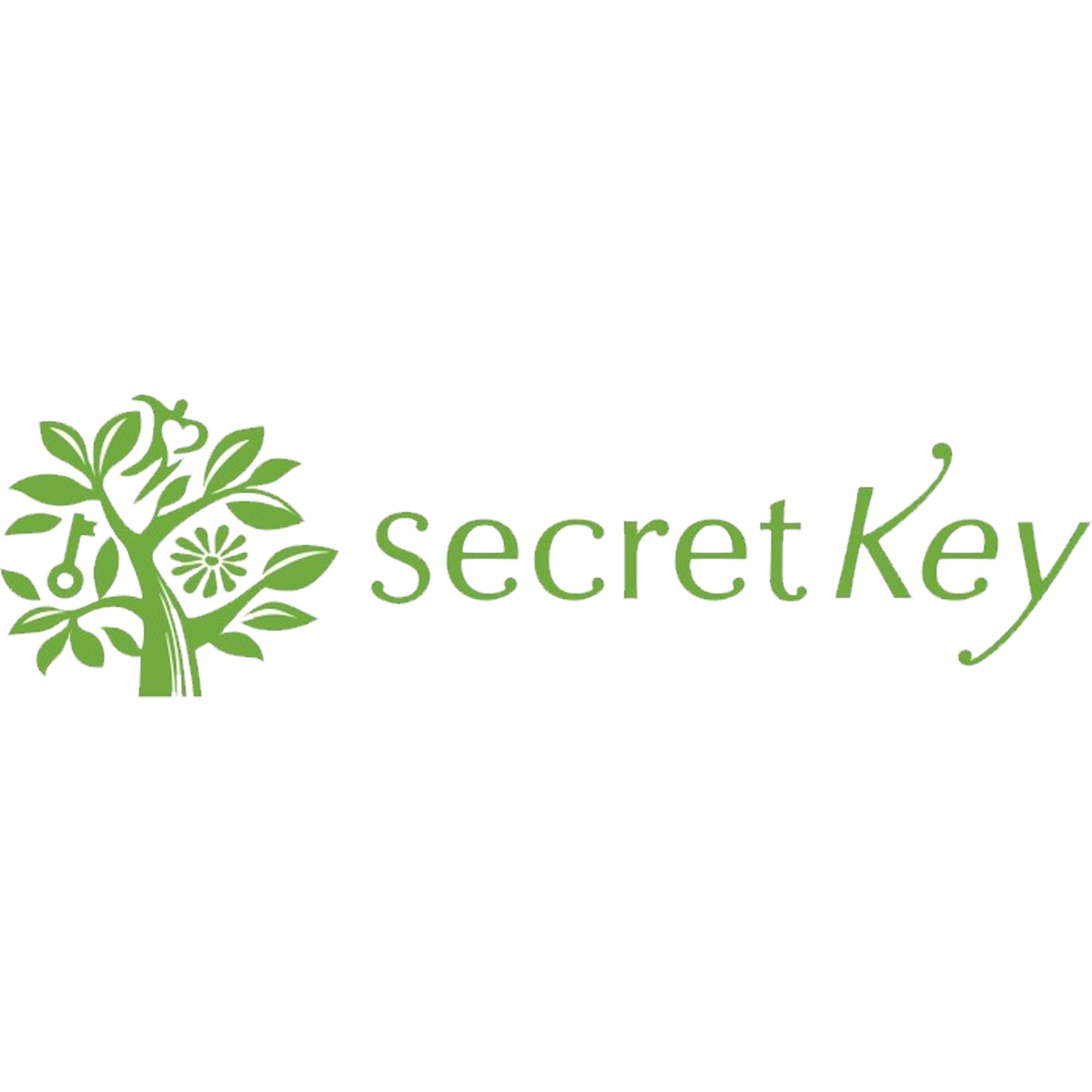 Secret Key